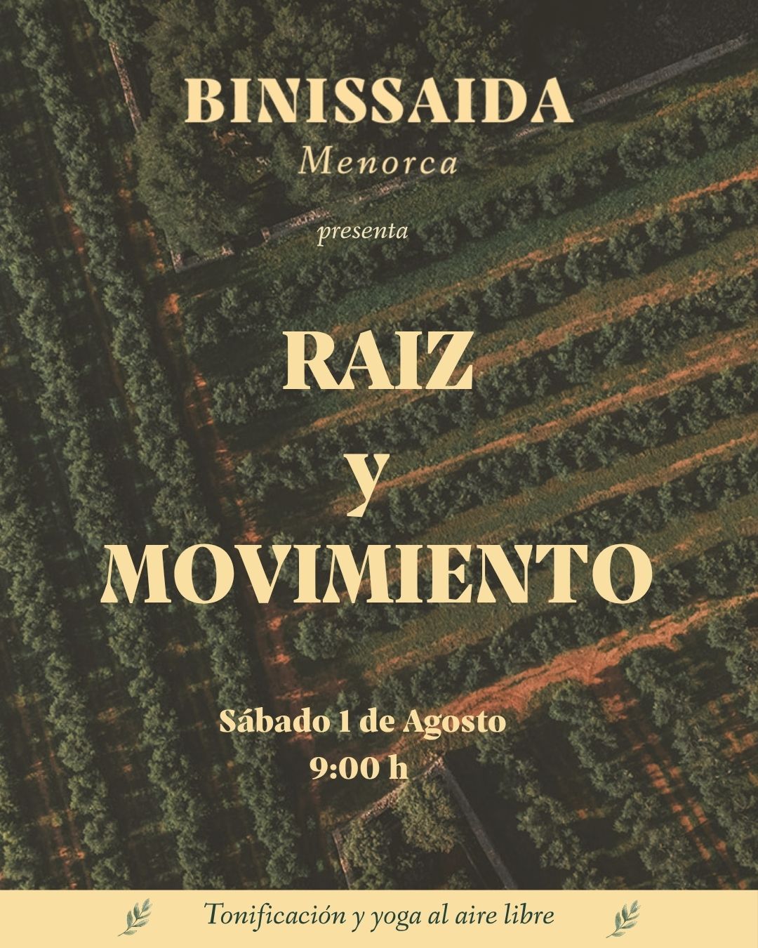 Raiz y Movimiento