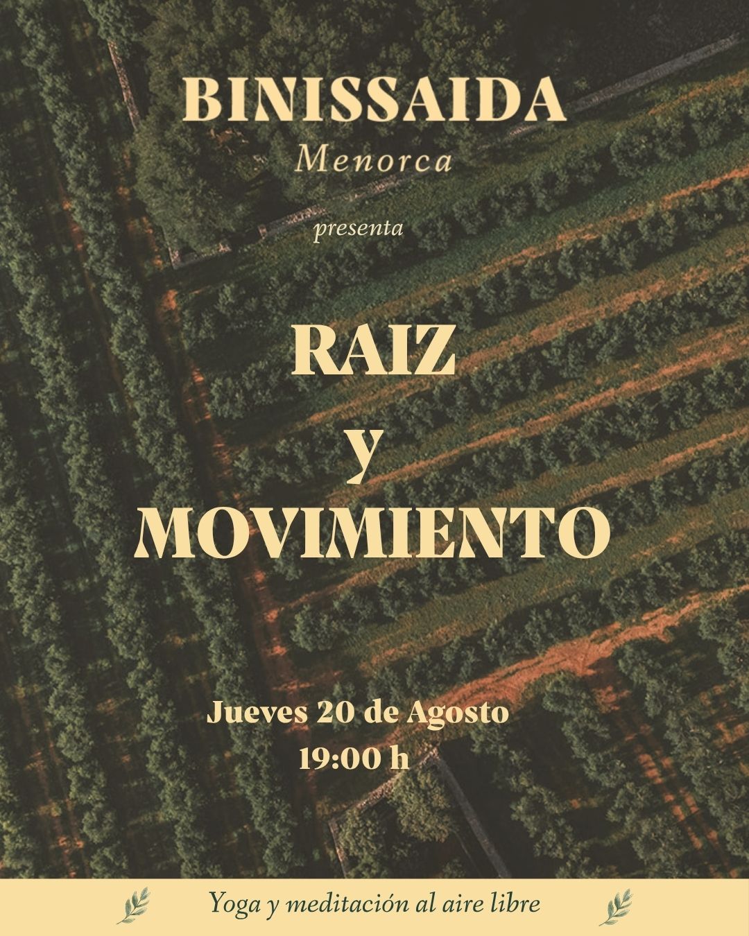 Raiz y Movimiento