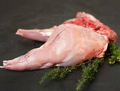 Lapin
