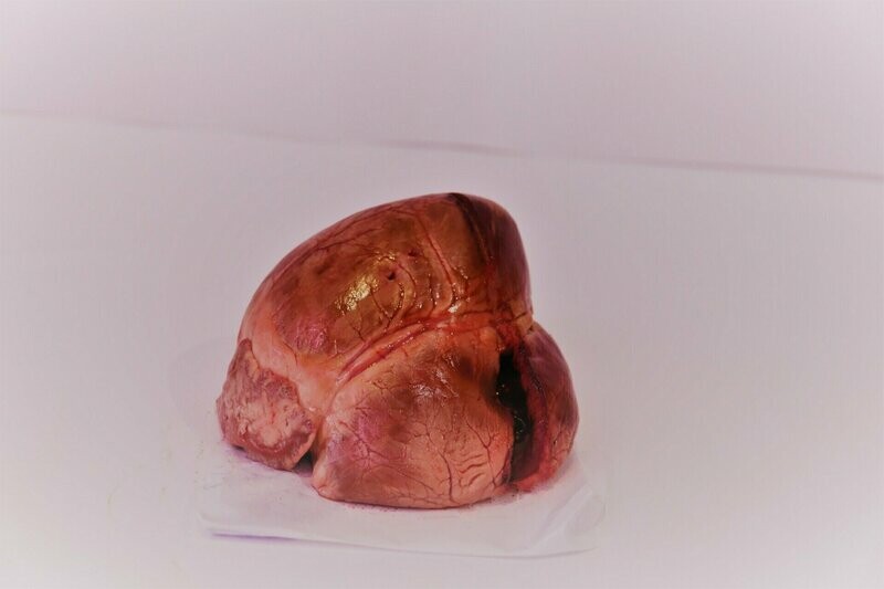 Cœur de porc (pièce)
