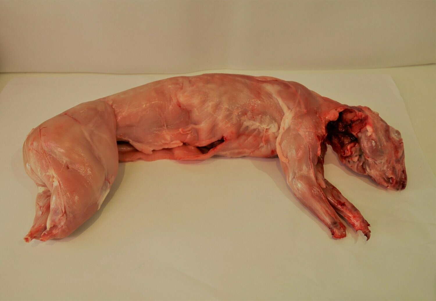 Lapin entier ( environ 1kg500)