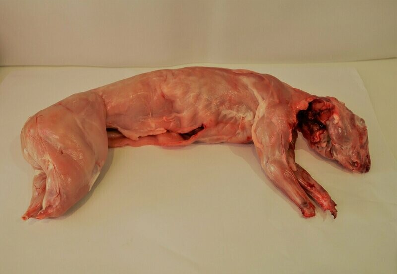 Lapin entier ( environ 1kg500)