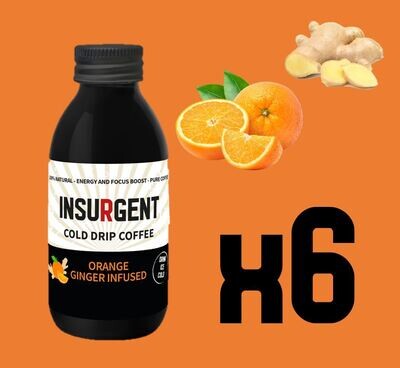Insurgent Orange Ginger Infused 6x125ml