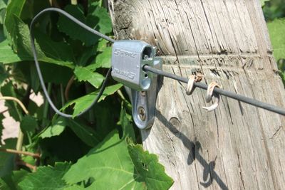 Gripple Vit-S KIT : éénrichtingsspanner spanner met haak, incl. bevestiging voor houten palen ( zakje 10 stuks )