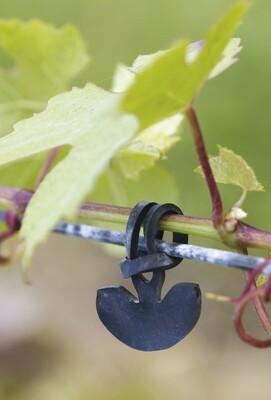 Vigne - fix bindrubbers per kg ( 7 of 11 cm  - kies na aanklikken product )
