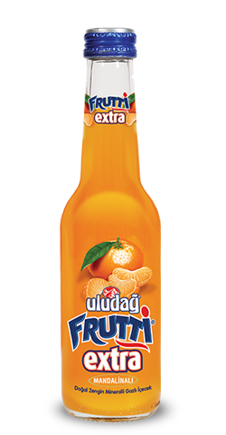 Uludag Frutti Extra Mandarinen 0.25l