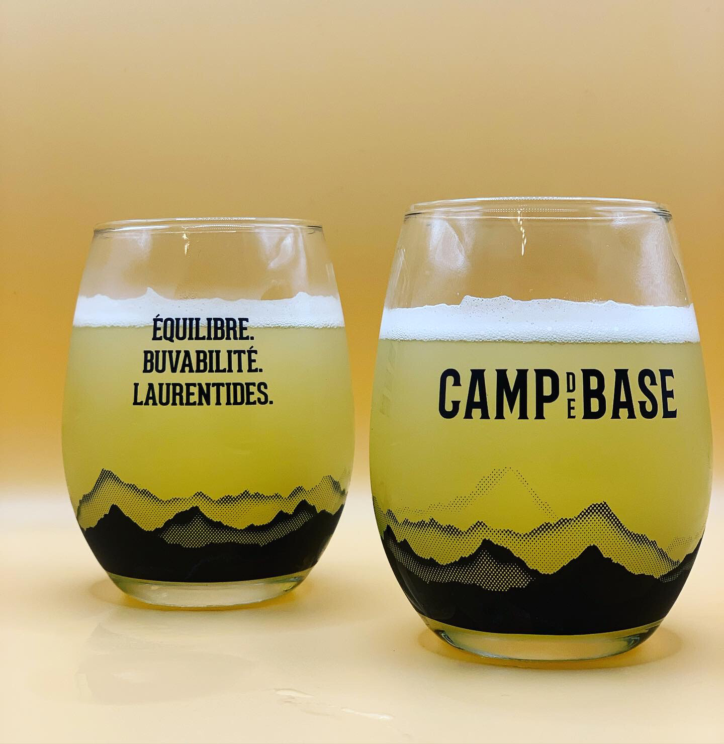 Verre Perfection 9 onces