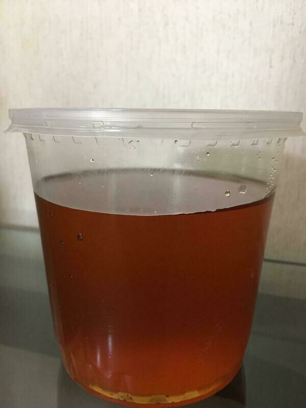 Miel de Abeja (1 Kilo)