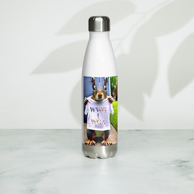 Stainless Steel Water Bottle