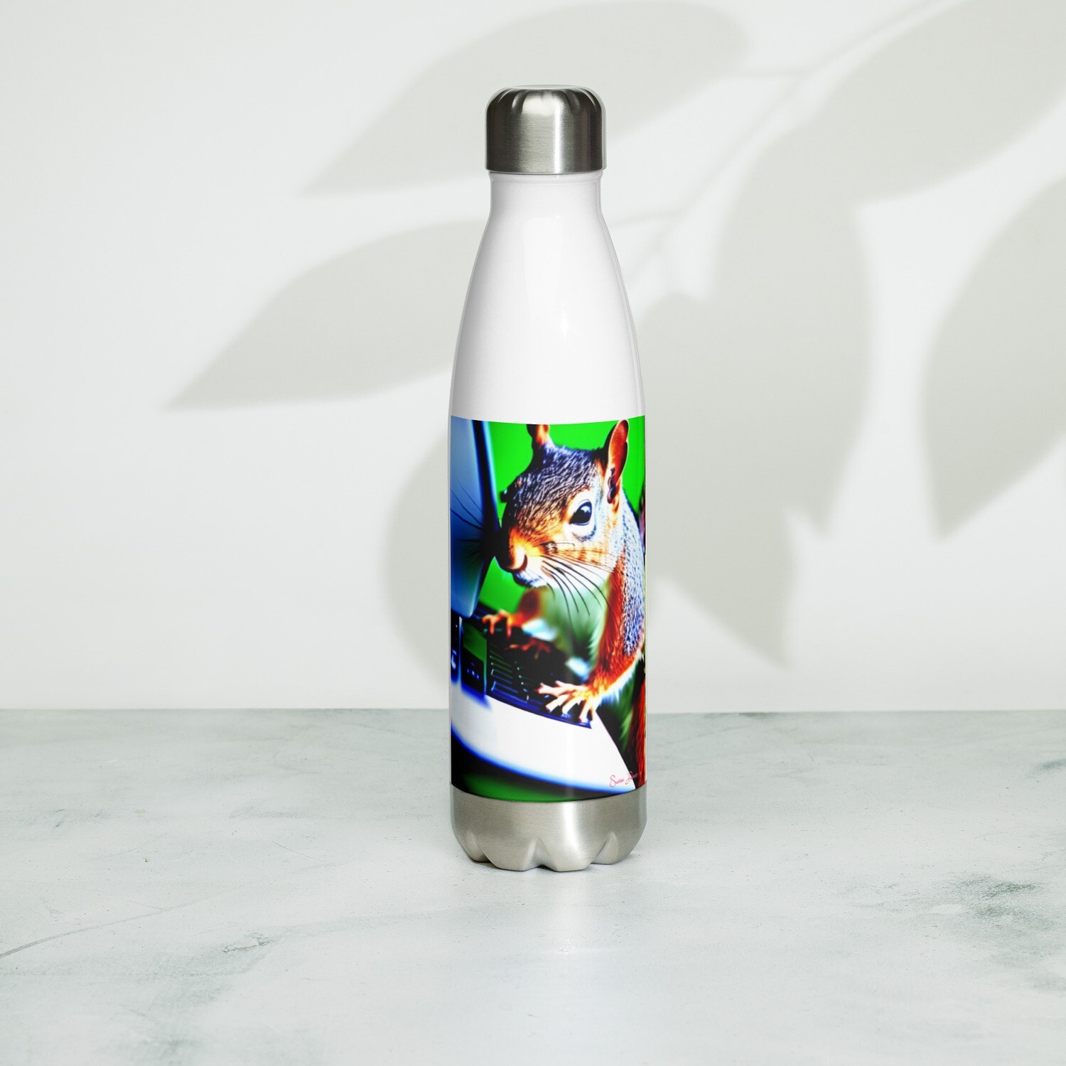 Stainless Steel Water Bottle