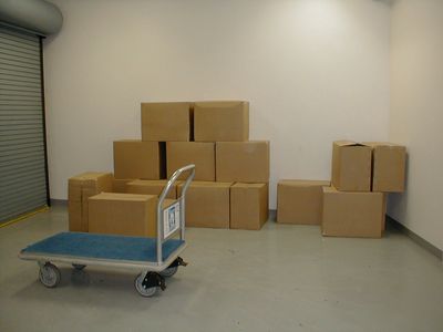 CASE -Woodland Bench Craft Kits (CASE/28 units)