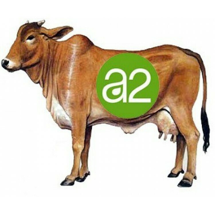A2 Gir Cow Milk 0.5 Liter