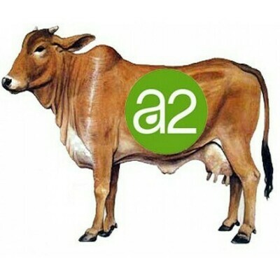 A2 Gir Cow Milk 0.5 Liter