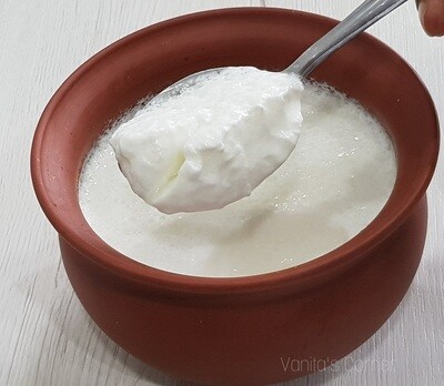 Curd / Dahi