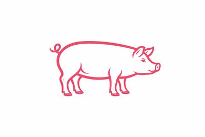 Schwein