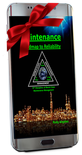 Maintenance - Roadmap to Reliability (E-book Readable Version)