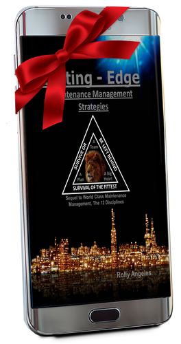 Cutting Edge Maintenance Management Strategies (E-book Readable Version)