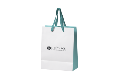 Boutique Shopping Bag (10 pcs)