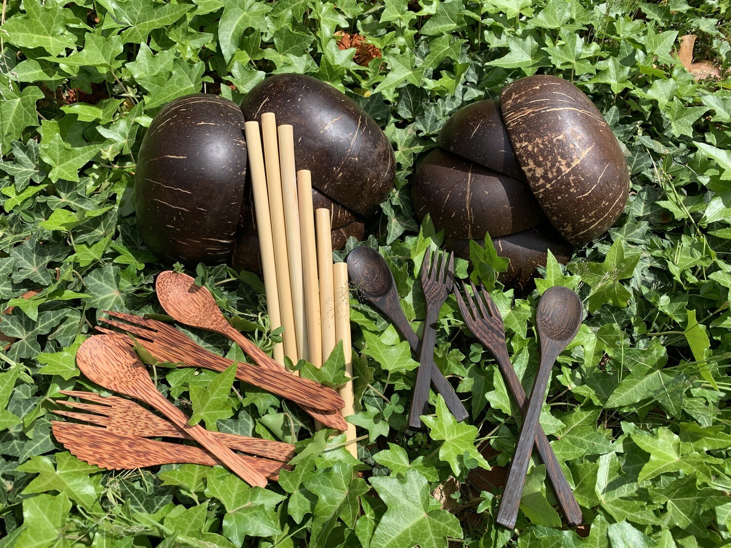 Coconut Bundle 8