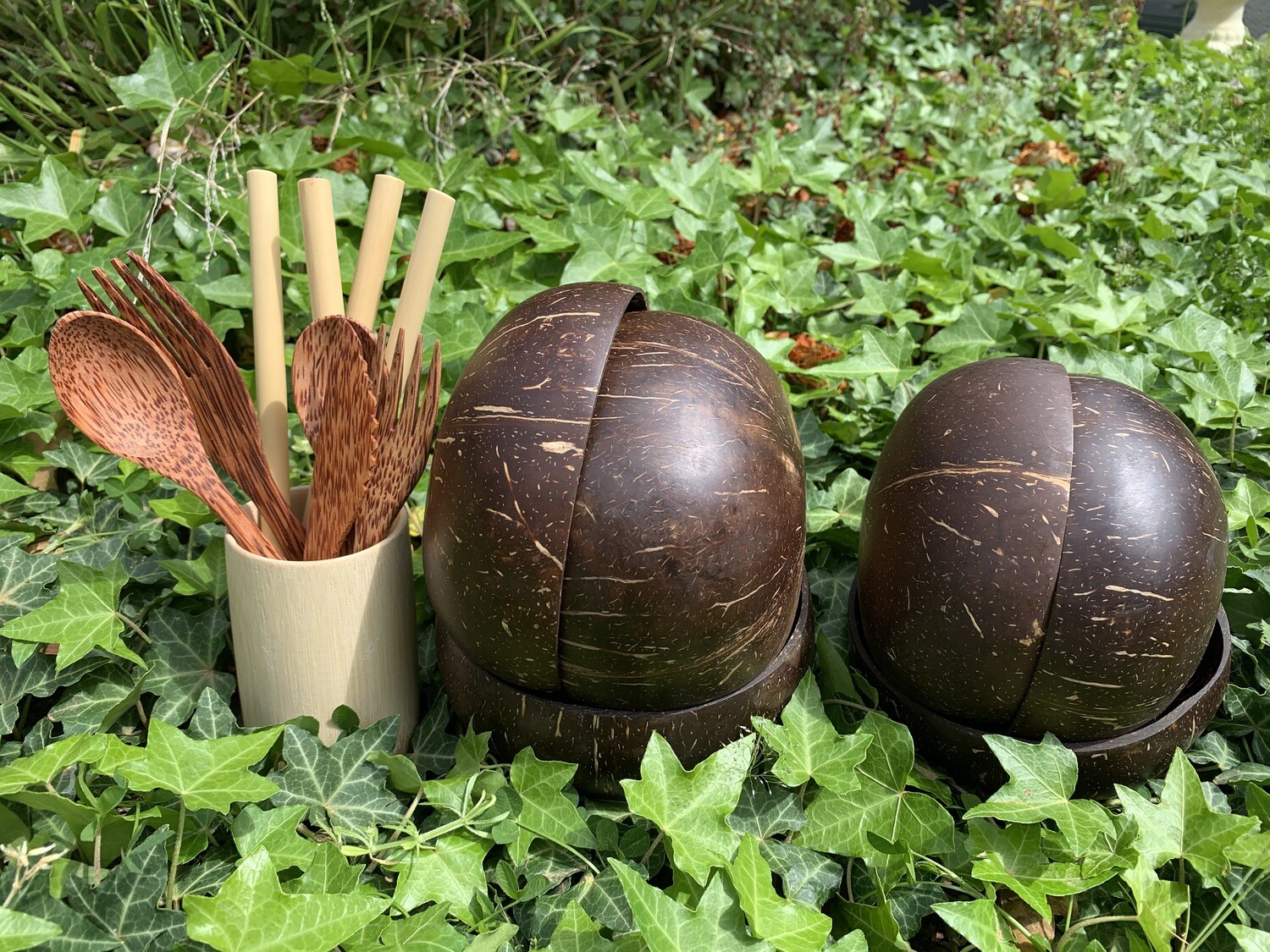 Coconut Bundle 6