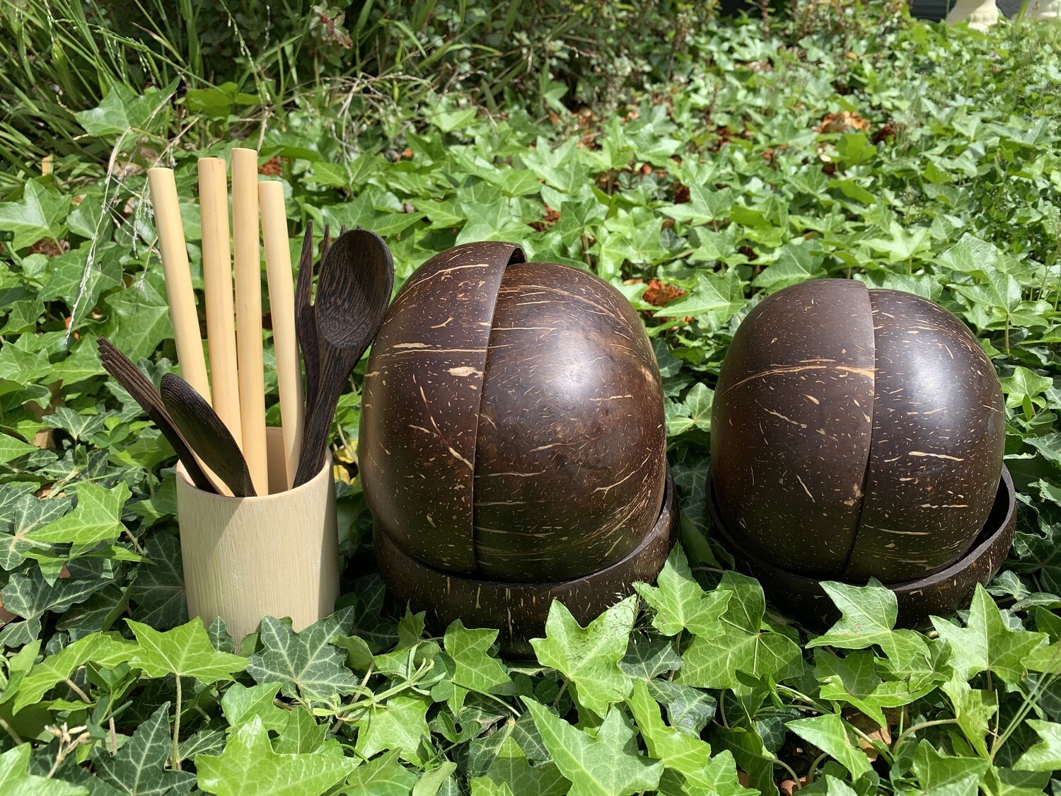 Coconut Bundle 6 Dark