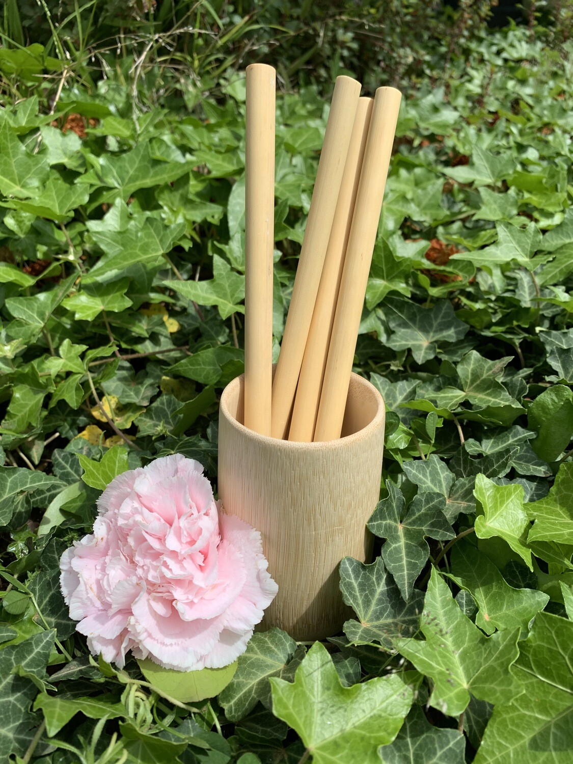 Bamboo Cup and Straws