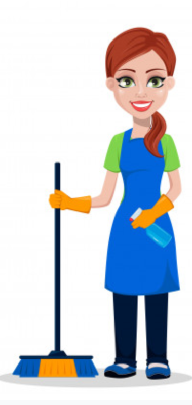 1 Cleaner (at a time)