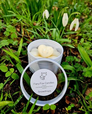 'Snowdrops' Tin of 11 Small Soy Wax Melts