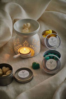 Tin of 11 Small Soy Wax Melts
