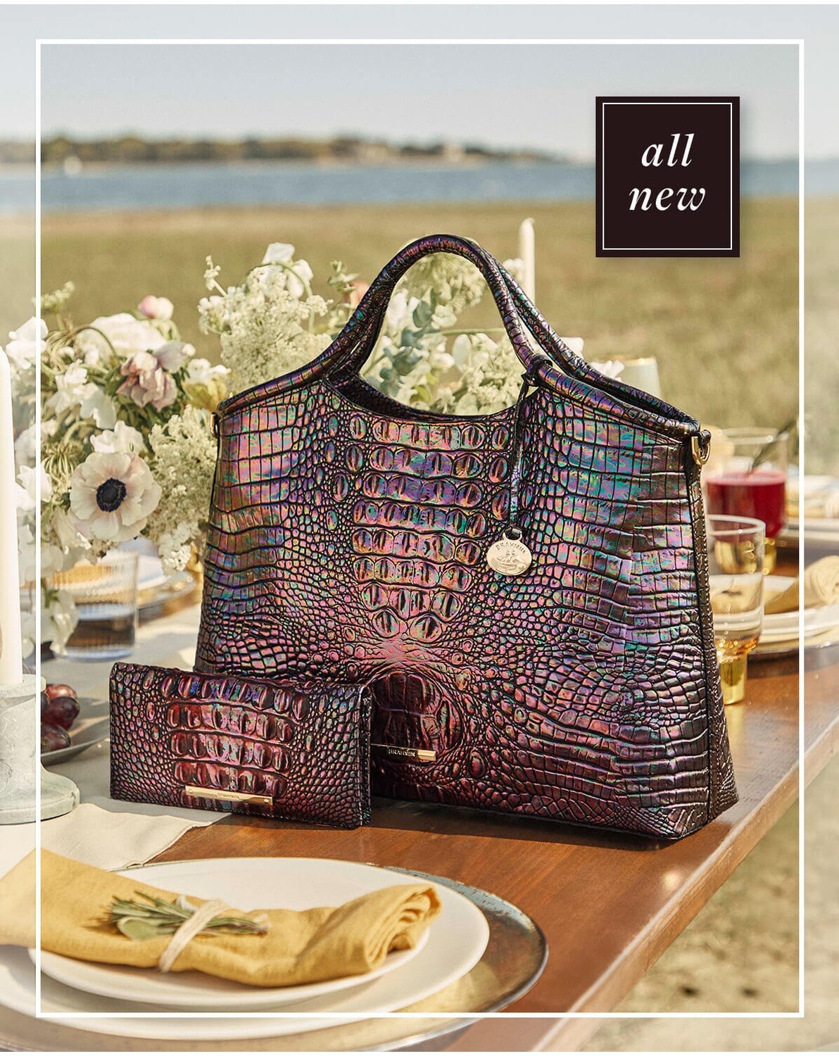 louis vuitton pochette neverfull