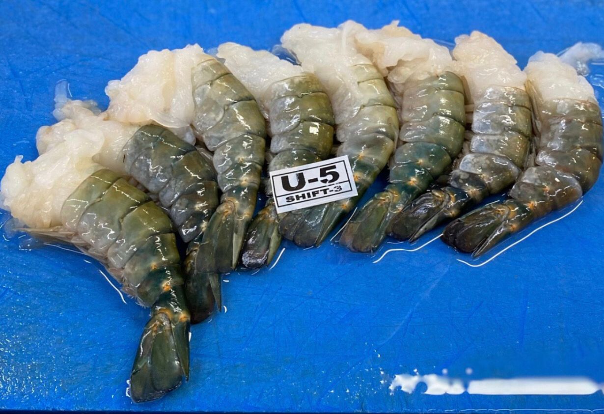 SALE U5 HLSO KING PRAWN (GALDA CHINGRI) 700G