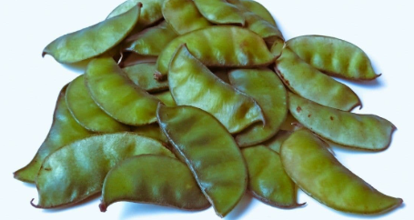 SALE GOALGADA SEEM 300G