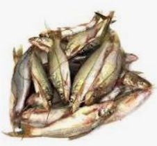 GULSHA/TENGRA MEDIUM CLEANED 250g