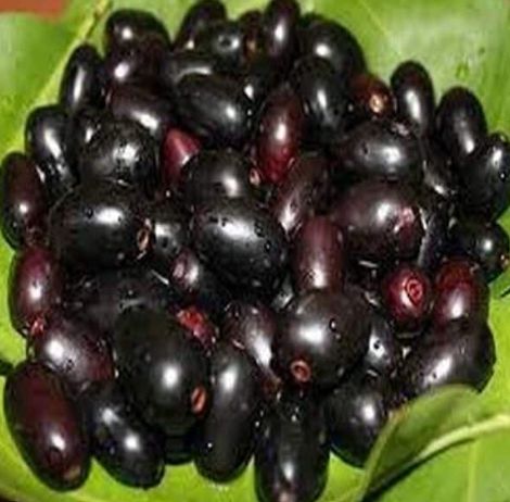 BD KALA JAM (BLACK BERRY) FROZEN 300G