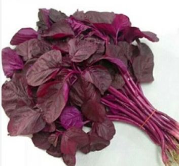 LAL SHAK (RED AMARANTH/SPINAT) FROZEN 300G