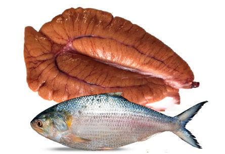 HILSHA / ILISH EGG 200G