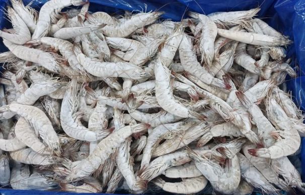 SALE -  PRAWN - HEAD & SHELL ON 30/40  - 2 KG PACK SALE -  PRAWN - HEAD & SHELL ON 30/40  - 2 KG PACK