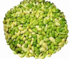GREEN SEEM SEEDS 300G - 2 FOR KR 70