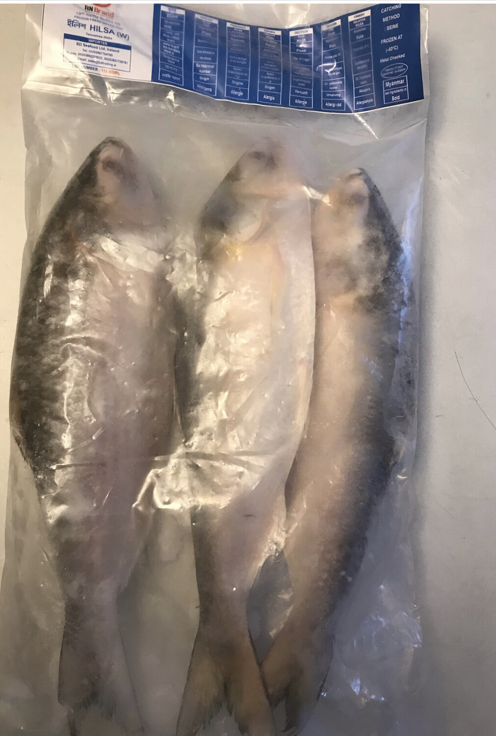 SALE - WHOLE HILSA / ILISH 3 PCS (600-800G)- 2 KG PACK