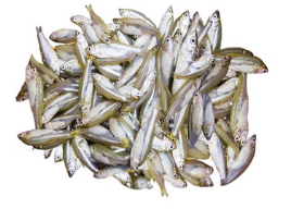 MOLA FISH IN TRAY 250G