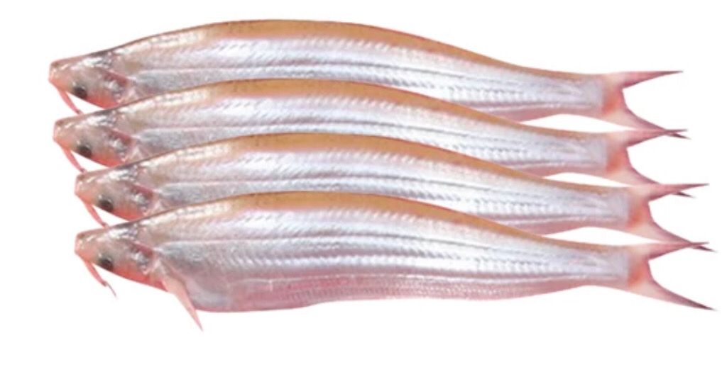 SALE KAJOLI/BASHPATA IN TRAY 200G