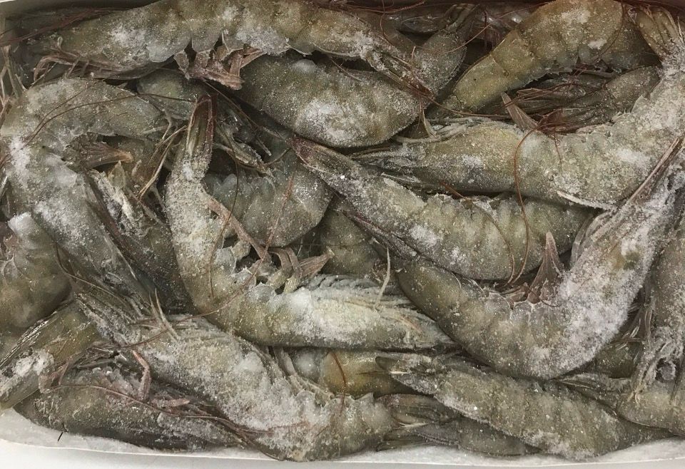SALE - SHRIMP - HEAD & SHELL ON 30/40 - 2 KG PACK SALE - SHRIMP - HEAD & SHELL ON 30/40 - 2 KG PACK