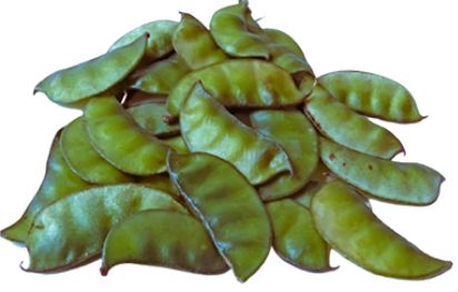 GOALGADA SEEM 300G - Ready to cook