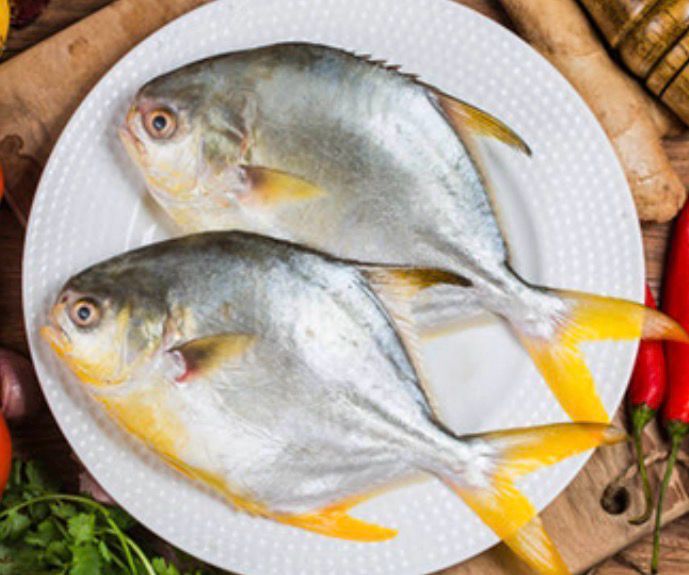 GOLDEN POMFRET 1 KG PACK (2PCS)