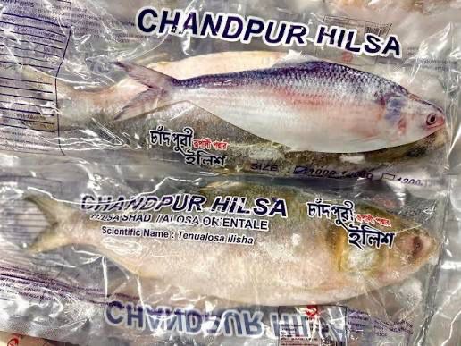 SALE - WHOLE CHANDPURI HILSHA 1250-1500g - PER KG