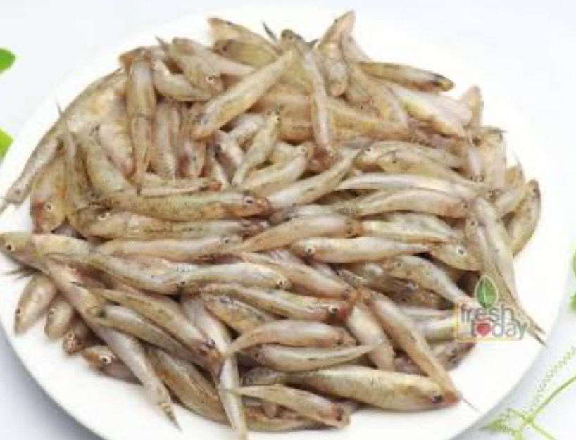 BAILLA SMALL SIZE 25G. - 2 For Kr 110