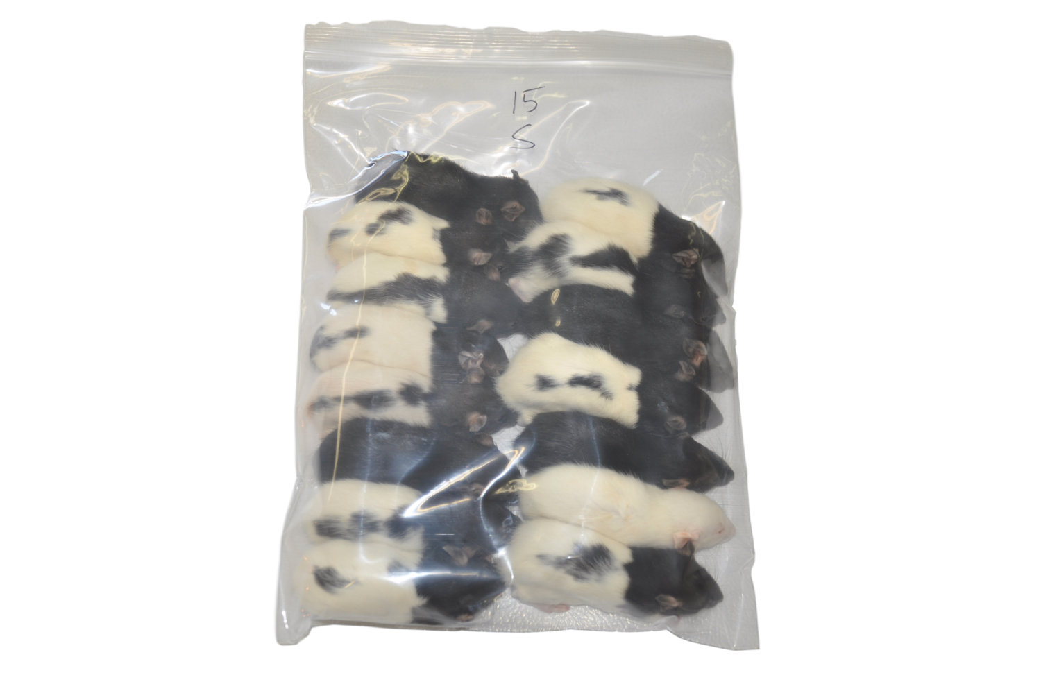 Rat - Small (15 per bag)