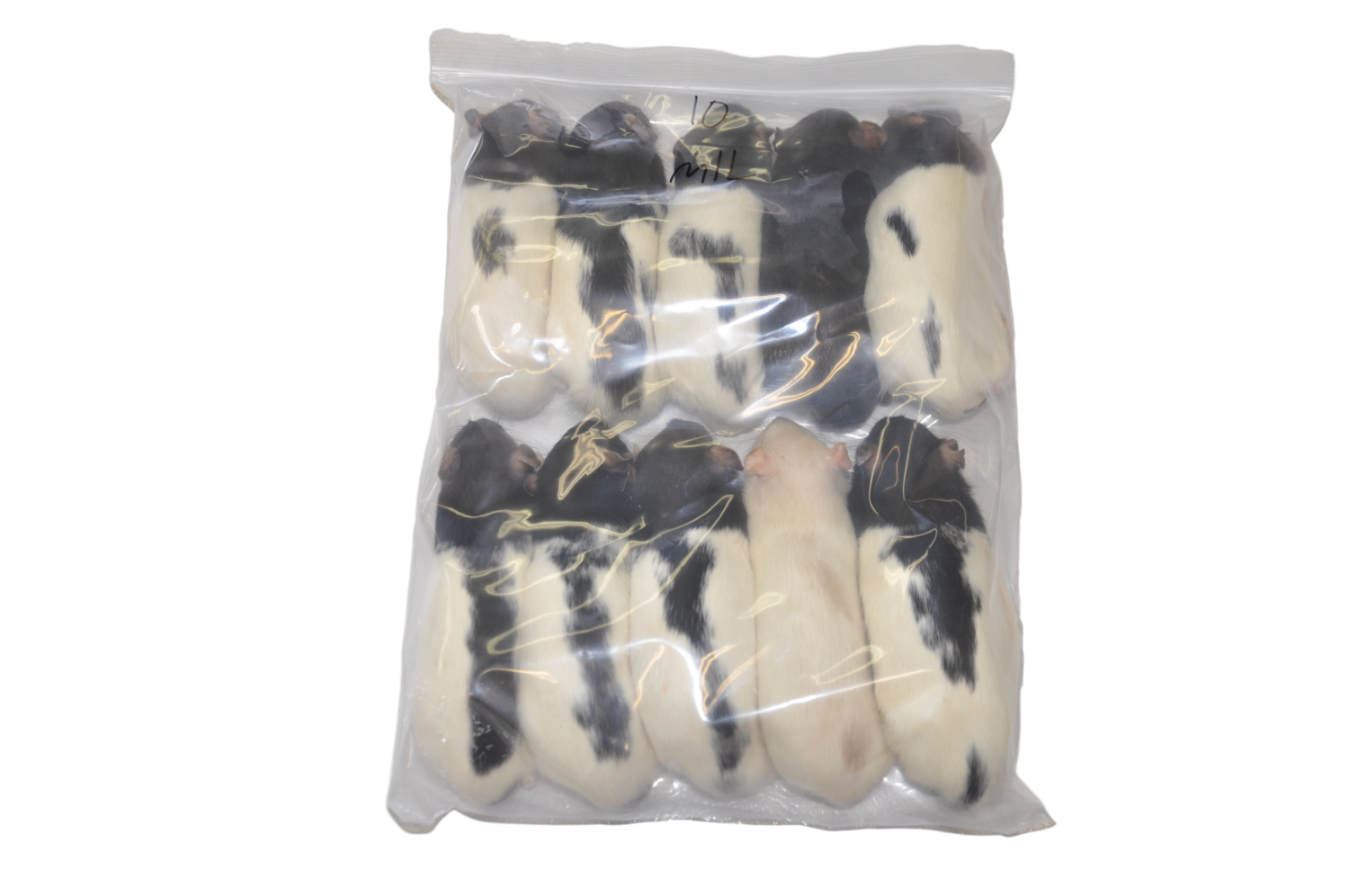 Rat - Medium/Large (10 per bag)