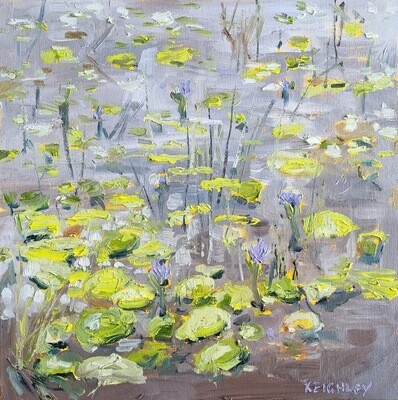 Water Lillies in the Rain