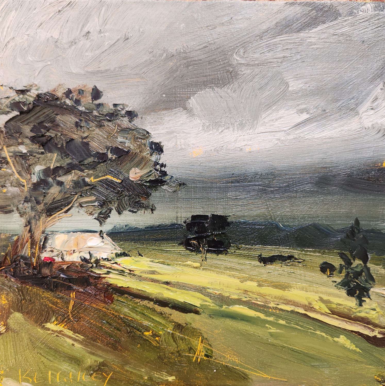 Moss & Memories Moss & Memories